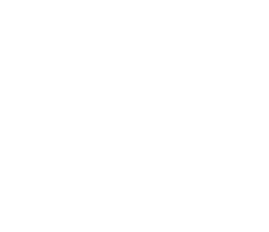 Ray Rawlyk Musician